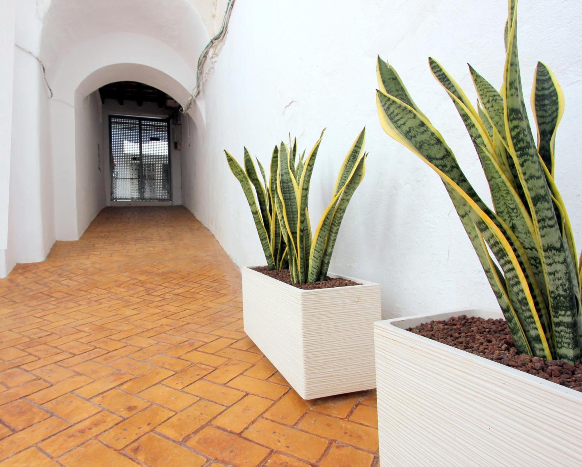 Appartamento Conil10